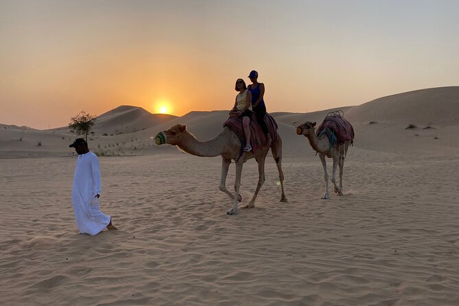 Safari Half-Day Adventure from Abu Dhabi - Sand boarding on the dunes