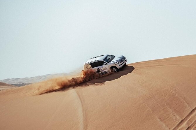 Safari Half-Day Adventure from Abu Dhabi - Is $62 good value?