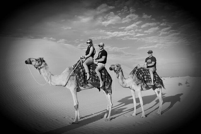 Safari Half-Day Adventure from Abu Dhabi - What dune bashing feels like in a 4x4