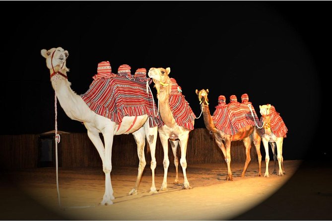Sahara Arabian Desert Dinner Experience with Transport from Dubai - The evening show, from tanoura spinning to fire