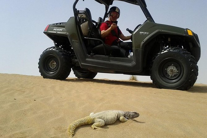 Self-Drive Buggy (Shared Buggy-2 people) or Quad Bike Safari - Returning to base and Dubai