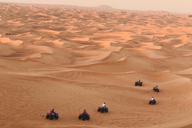 Self Drive Quad Bike in Open Desert With Sand Boarding and Camels - A short camel ride and desert photographs