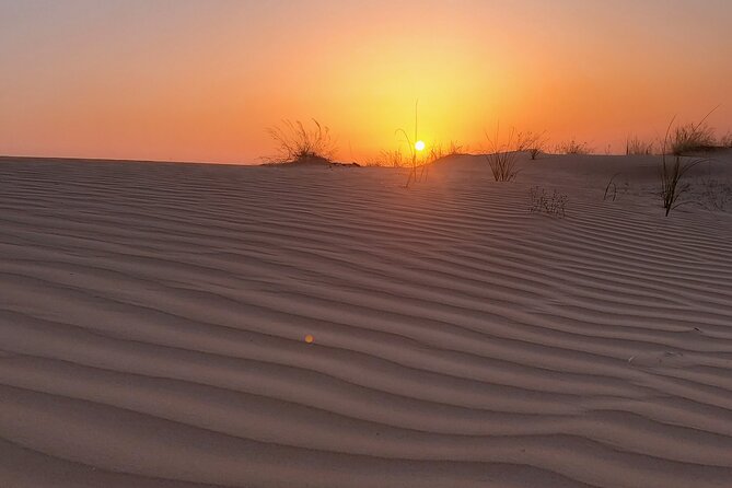 Shared Desert Safari Tour Dubai with Dinner Included - BBQ dinner beneath the evening sky