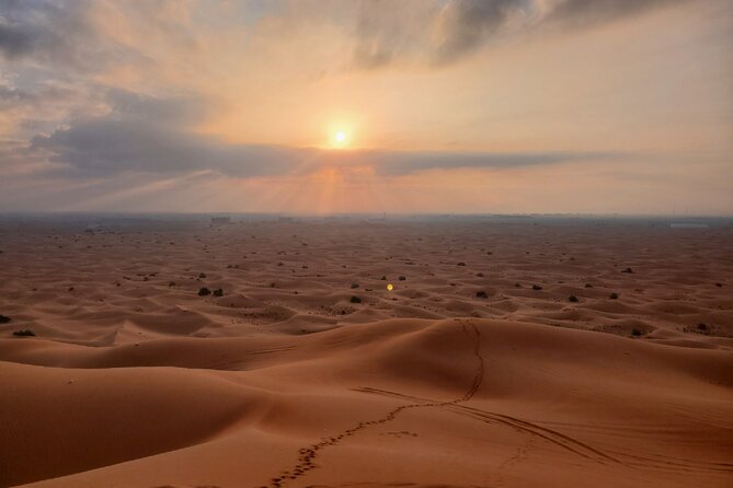 Shared Desert Safari Tour Dubai with Dinner Included - Al Badayer and the 45-minute dune drive