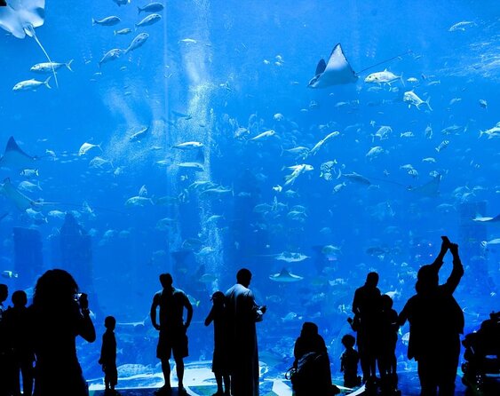 Skip the Line: Lost Chambers Entry at Atlantis The Palm Ticket - Key points to know before you go