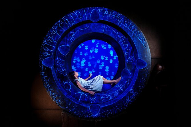 Skip the Line: Lost Chambers Entry at Atlantis The Palm Ticket - What The Lost Chambers Aquarium is really like
