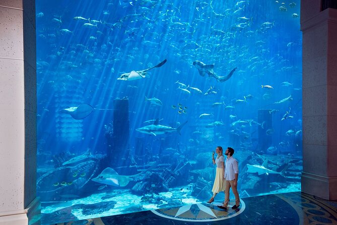 Skip the Line: Lost Chambers Entry at Atlantis The Palm Ticket - The 10 chambers are atmospheric but compact