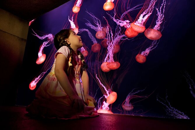 Skip the Line: Lost Chambers Entry at Atlantis The Palm Ticket - Is the skip-the-line ticket worth it?