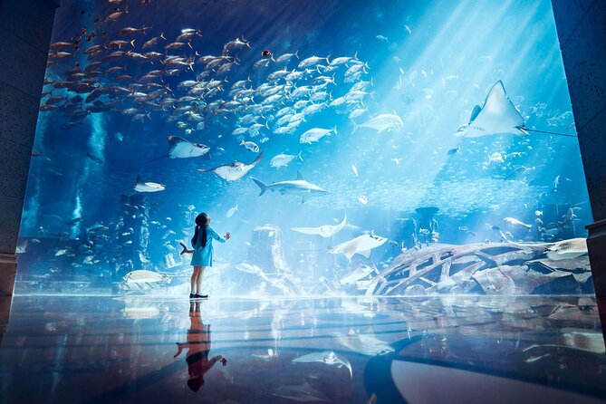Skip the Line: Lost Chambers Entry at Atlantis The Palm Ticket - The Ambassador Lagoon deserves your time