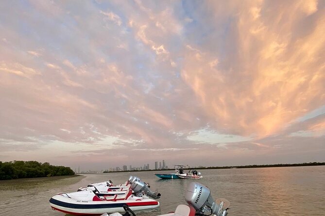 Small-Group Self-Drive Speedboat Tour in Yas Island Mangroves - Peninsula Gold Beach and the chance to swim
