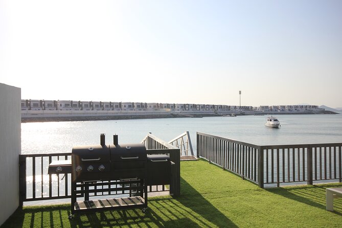 Snorkeling with turtles in Fujairah with BBQ lunch - Is $97.41 a fair price?