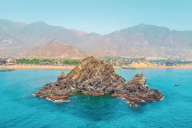 Snorkeling with turtles in Fujairah with BBQ lunch - Practical details for a smoother day