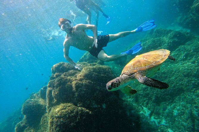 Snorkeling with turtles in Fujairah with Transfer & BBQ lunch - Leaving Dubai for Fujairah