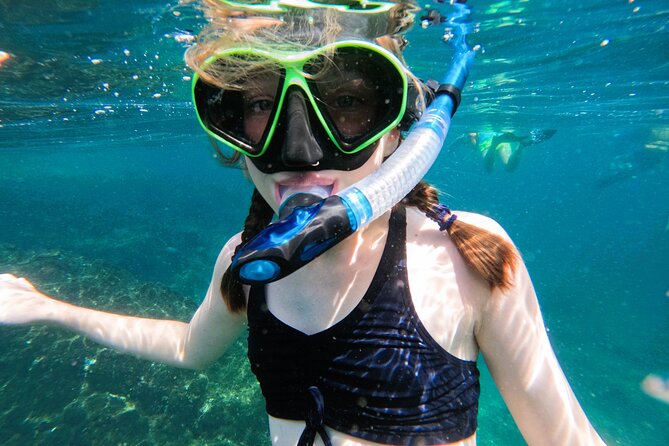 Snorkeling with turtles in Fujairah with Transfer & BBQ lunch - Searching for turtles over Fujairah’s reefs