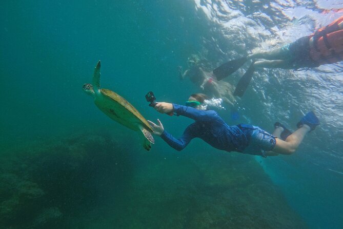 Snorkeling with turtles in Fujairah with Transfer & BBQ lunch - The onboard BBQ lunch