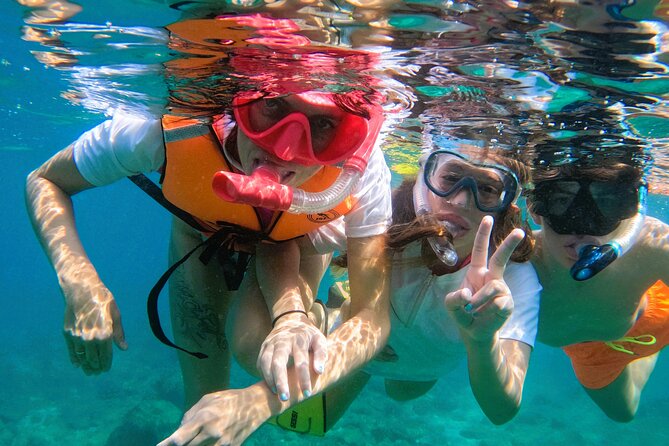 Snorkeling with turtles in Fujairah with Transfer & BBQ lunch - What the strongest praise gets right