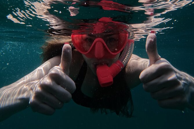 Snorkeling with turtles in Fujairah with Transfer & BBQ lunch - The main weaknesses to weigh