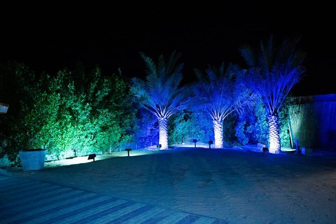Standard Desert Safari, camel ride, BBQ Dinner, Belly Dance Show, Pick & Drop - The 4x4 ride across tall dunes
