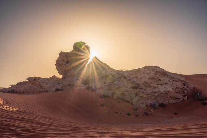 Sunrise/Morning Dune Drive with Camel Trek & Sand Surfing - Thirty minutes of dune bashing