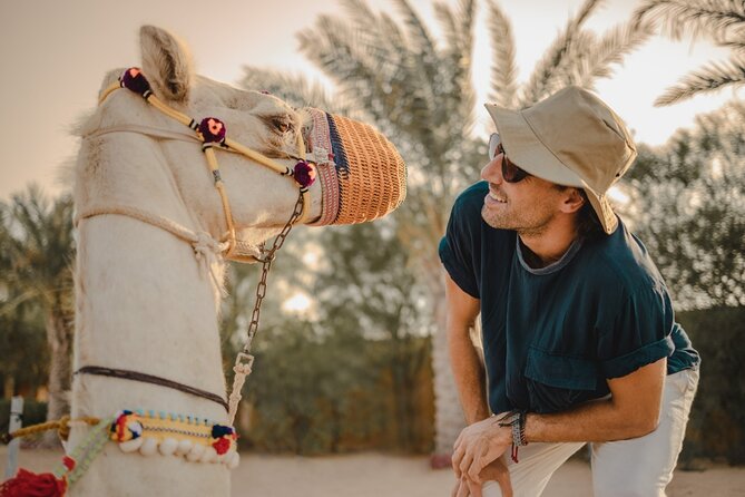 Sunrise/Morning Dune Drive with Camel Trek & Sand Surfing - Sandboarding on a broad dune