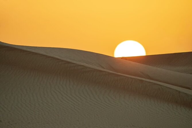 Sunrise/Morning Dune Drive with Camel Trek & Sand Surfing - The falcon photo question