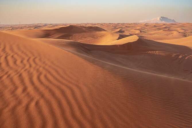 Sunrise/Morning Dune Drive with Camel Trek & Sand Surfing - What the price includes, and what it does not