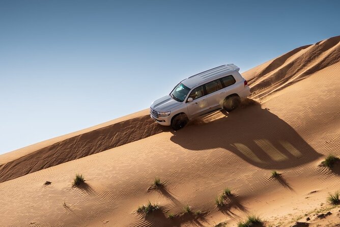 Sunrise/Morning Dune Drive with Camel Trek & Sand Surfing - From your hotel to the Red Dunes