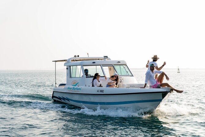 Sunset Corniche Cruise - 2 hours trip - Leaving Al Bateen Marina at 5:00 pm