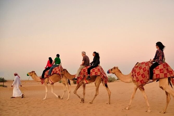 Sunset Desert Safari | Premium BBQ Dinner | Red Sand Dune - BBQ dinner, buffet choices, and camp comfort