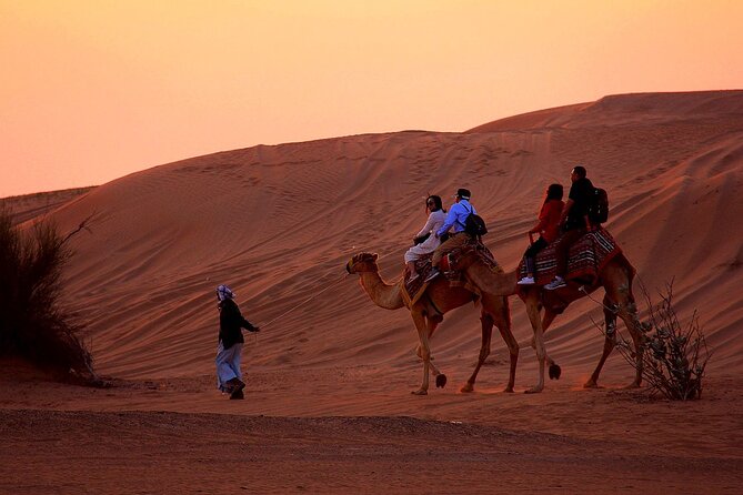 Sunset Evening Safari,Camel ride,live shows and BBQ Dinner with No Hidden Charge - Lahbab’s red dunes and 30-minute dune drive