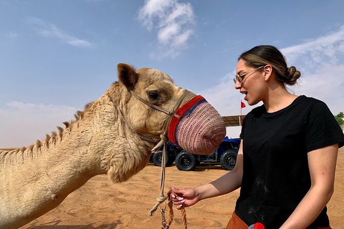 Sunset Quad/Buggy Tour & BBQ Evening - BBQ dinner with vegetarian choices