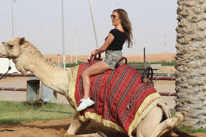 Sunset Quad/Buggy Tour & BBQ Evening - Does the $97.68 price offer good value?