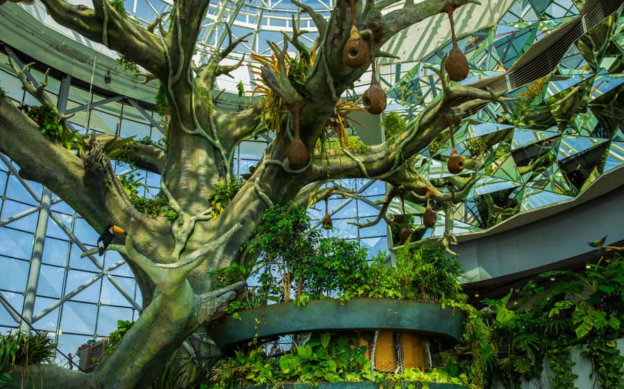The Green Planet - Dubai's Unique Indoor Rainforest - The forest floor and the Bat Cave