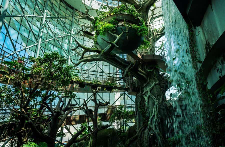 The Green Planet - Dubai's Unique Indoor Rainforest - The indoor storm brings the forest to life