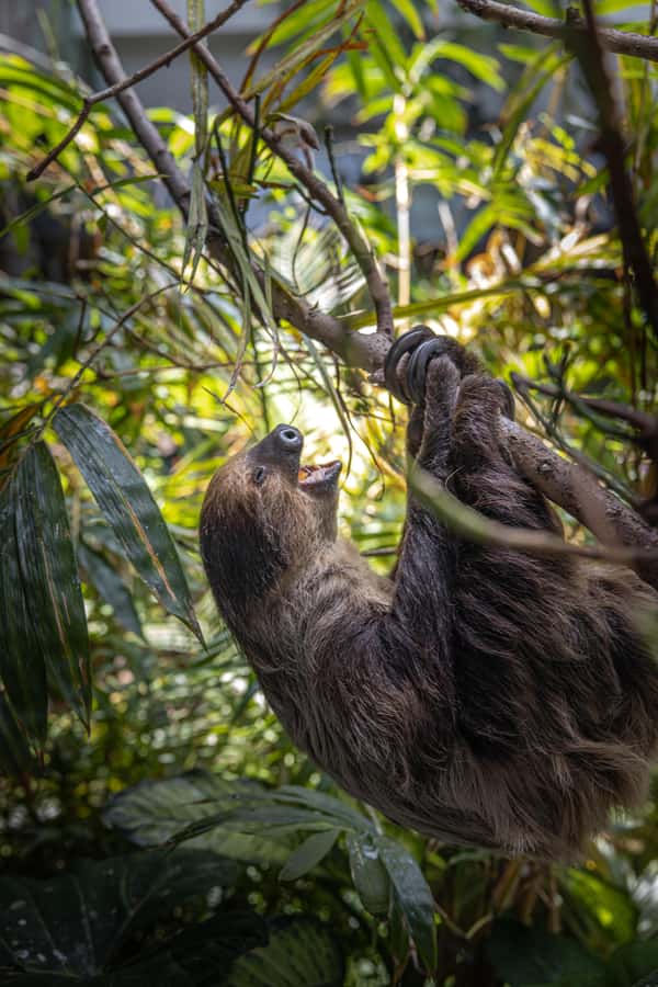 The Green Planet - Dubai's Unique Indoor Rainforest - What the $42 ticket really buys you