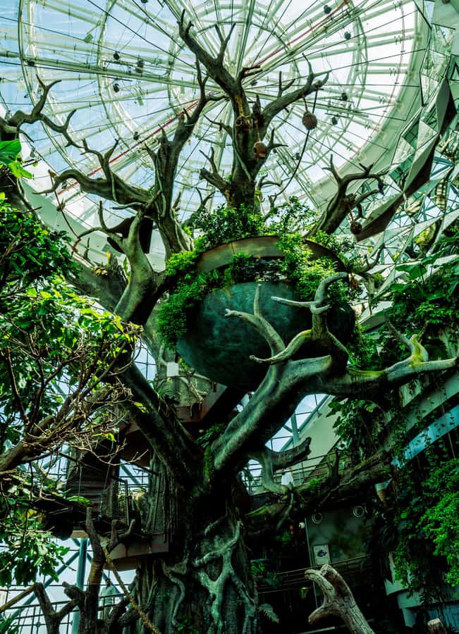 The Green Planet - Dubai's Unique Indoor Rainforest - Time your visit around your own interests