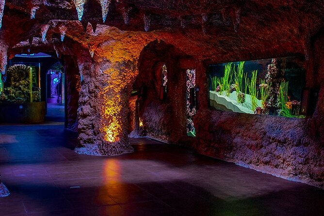 The National Aquarium Abu Dhabi Admission Tickets - Following the 10-zone aquarium journey