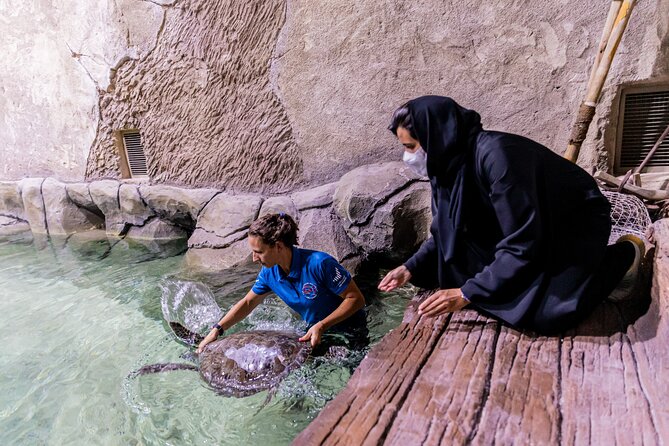 The National Aquarium Abu Dhabi Admission Tickets - Is $35 a fair price?