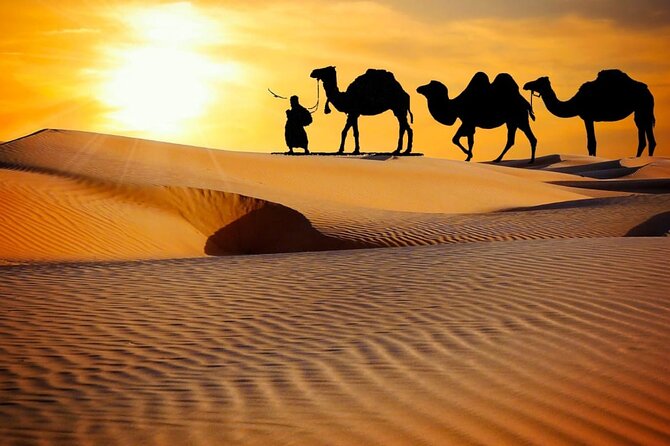 Thrilling dune bashing with VIP Desert camp delicious BBQ & shows - Hotel pickup and the road to the red dunes