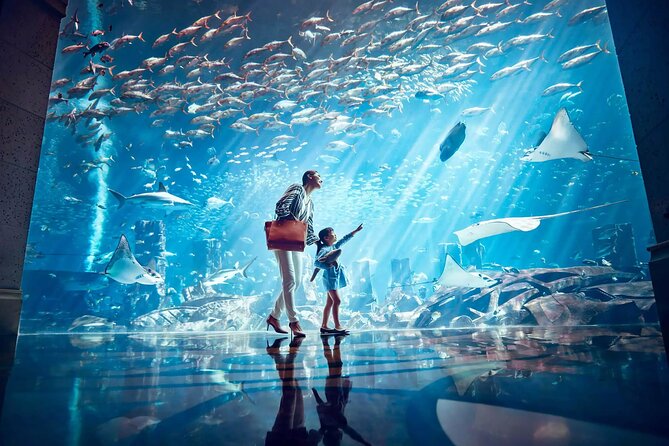 Ticket to Atlantis Aquaventure Waterpark & Combo - Raging Rapids and the gentler side of the park