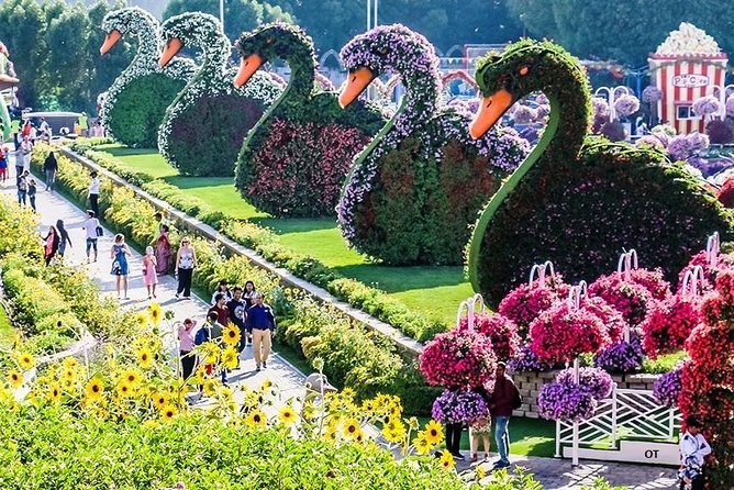 Tickets to Miracle Garden or Butterfly Garden or Global Village - Is $122 a fair price?