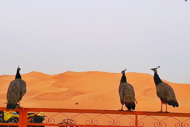 Top premium Desert safari with BBQ DINNER - Riding the dunes in a private 4x4