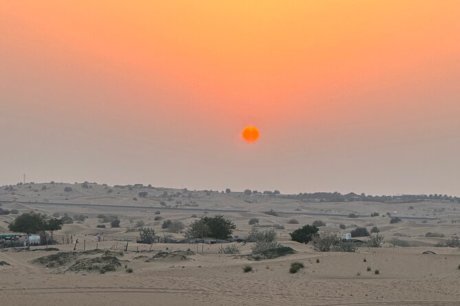 Top premium Desert safari with BBQ DINNER - Quad bikes and dune buggies: worthwhile upgrades?