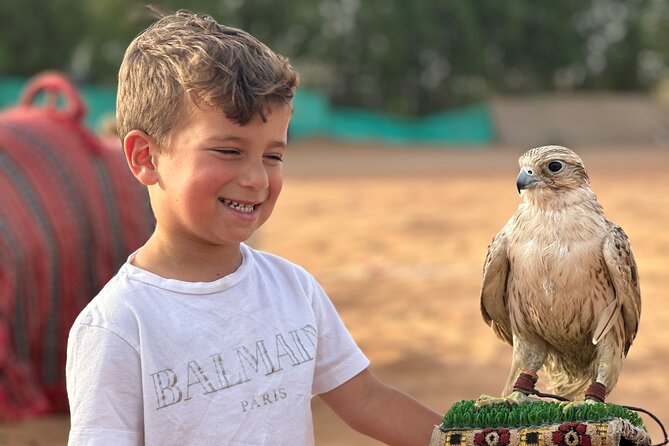 Top premium Desert safari with BBQ DINNER - Is $50 a fair price?