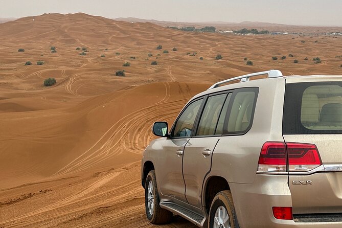 Top premium Desert safari with BBQ DINNER - Timing, pickup, and the long return to Dubai