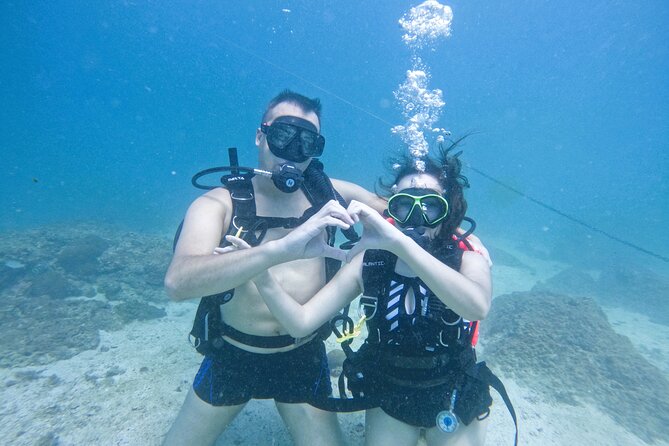Try Scuba Diving & snorkeling with BBQ lunch & Transfer - From Dubai streets to Fujairah’s coast