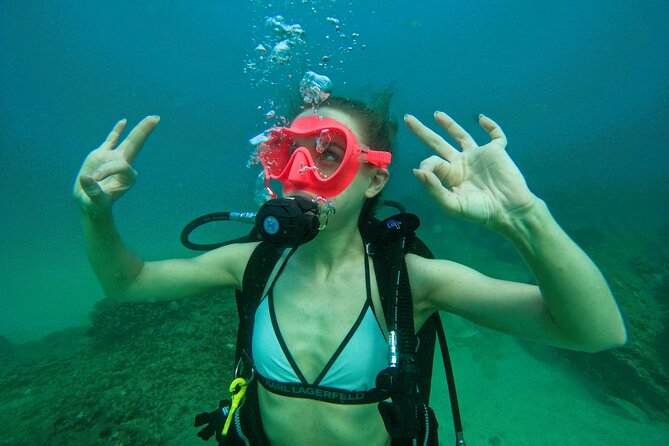 Try Scuba Diving & snorkeling with BBQ lunch & Transfer - Fujairah’s coral reefs from below and above