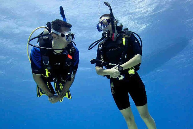 Try Scuba Diving & snorkeling with BBQ lunch & Transfer - Underwater photos are part of the memory