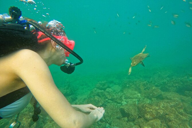Try Scuba Diving & snorkeling with BBQ lunch & Transfer - What the PADI connection really means
