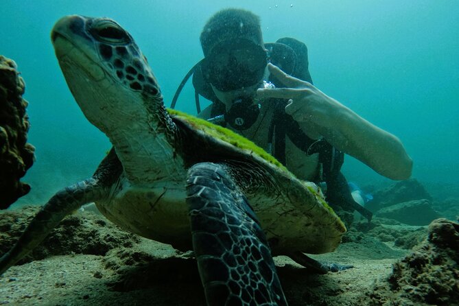 Try Scuba Diving & snorkeling with BBQ lunch & Transfer - Is the $150.71 price good value?